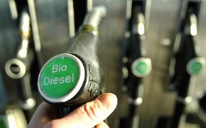 Zeitung: Schwarz-Gelb will mehr E-Autos und Biodiesel