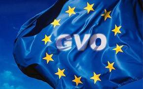 EU-Kommission: Keine Kurskorrektur bei Kfz-GVO