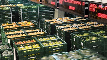 Südafrikanische Logistik bekommt Hilfe aus Holland