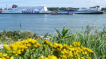 Hafen Rotterdam lockert Kriterien für Umweltrabatt 