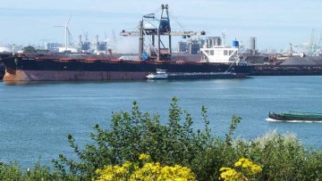 Hafen Rotterdam: Starker Einbruch beim Eisenerz-Umschlag