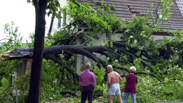 Stürme und Orkanböen: Die meisten Schäden sind versichert