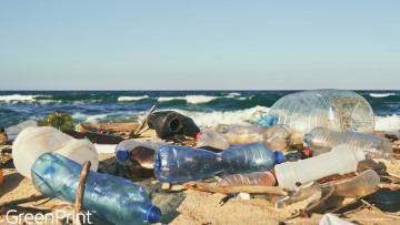 Nachhaltigkeit: Greenprint schließt Partnerschaft mit Plastic Bank