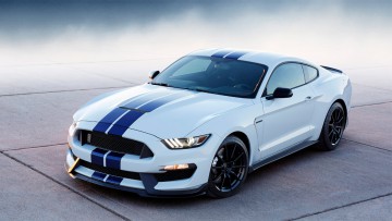 Mustang Shelby GT 350: Galopper des Jahres