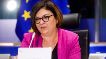 DVF: Austausch mit EU-Verkehrskommissarin Valean