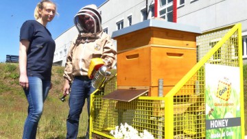 Am Rande: Geis bietet Bienen ein Zuhause