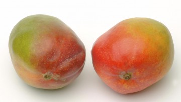 Hamburg Süd bietet saisonalen Dienst für Mangos und Trauben