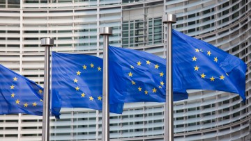 EU Kommission Führerscheine Qualifikationen