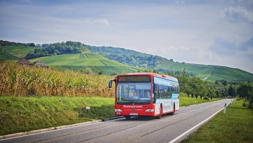 Stuttgart: 80 Busse für Tausende Fahrgäste