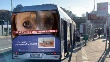 In Hamburg und Düsseldorf: Busse mit Botschaft gegen Tierversuche
