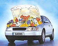 Sachs-Frühjahrsaktion