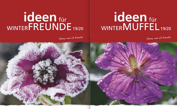 Service-Reisen: Winterprogramme 2019/2020