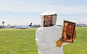 Am Rande: Bienen testen die Sauberkeit der Flughafen-Luft