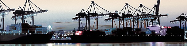 Hafenwirtschaft übt deutliche Kritik am Hamburger Senat 