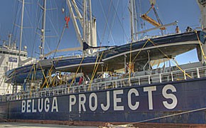 Experte: Insolvenzantrag für Beluga-Tochter war unvermeidbar