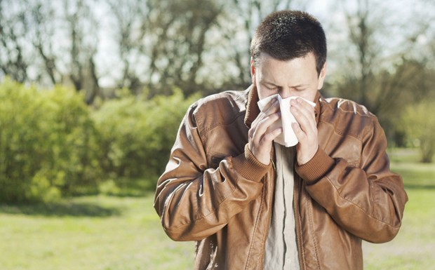 Pollenflug: Tipps für Allergiker am Steuer