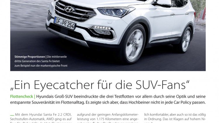 Interview - Steffen Dittmar, Abteilungsleiter Flotte bei Hyundai Motor Deutschland: Fast immer wird die Top-Ausstattung bestellt