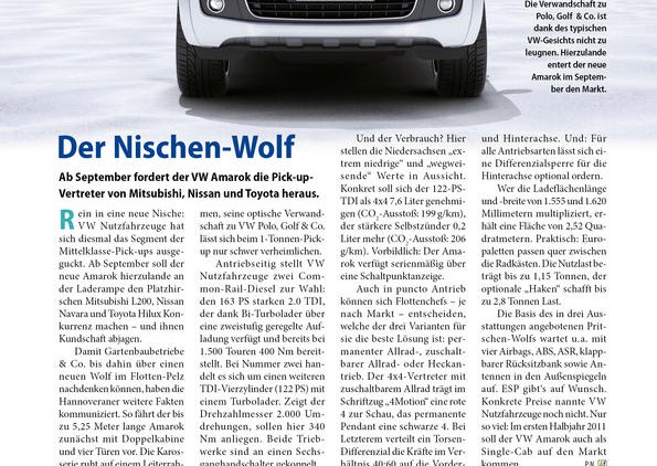 Der Nischen-Wolf