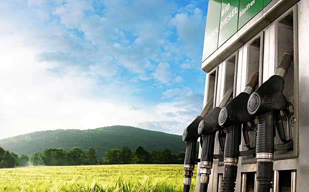 EU deckelt Förderung von Biokraftstoffen