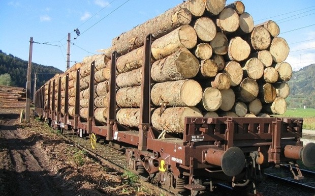 Holzindustrie einigt sich mit Rail Cargo Austria