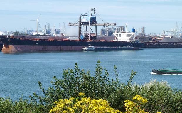 Hafenbetrieb Rotterdam kooperiert mit Rheinland-Pfalz