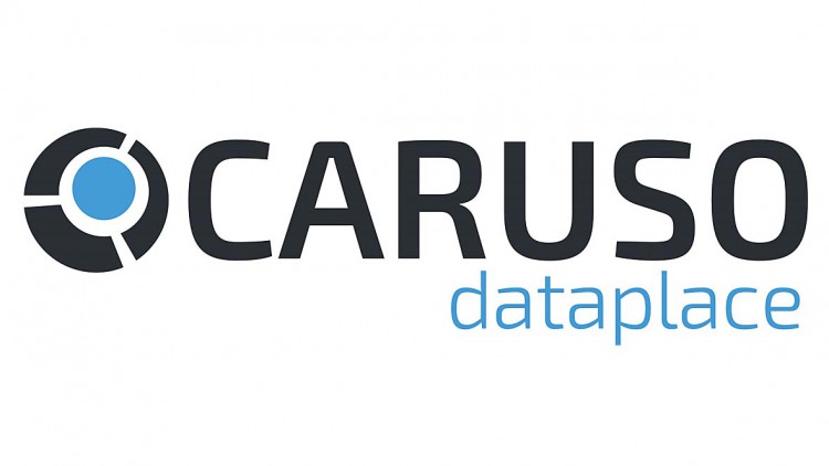 Datenplattform: DVSE ist neuer Gesellschafter bei Caruso