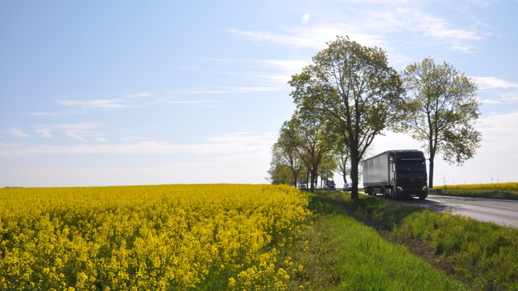 Umfrage: Deutsche wollen mehr Biokraftstoffe tanken