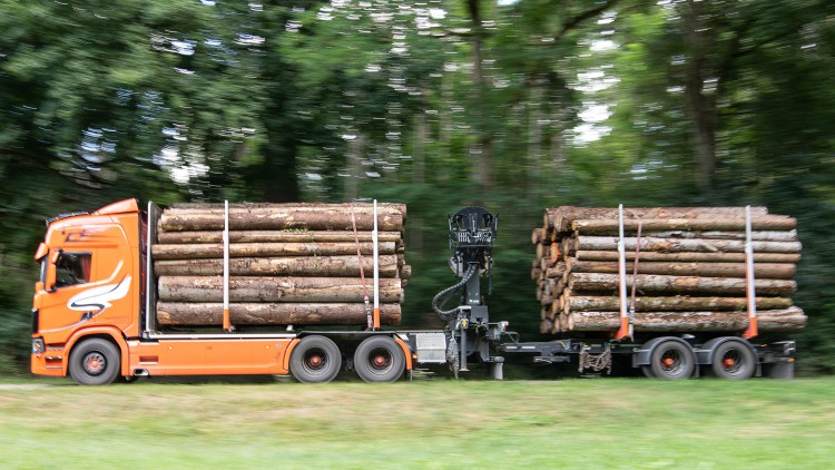 Kompromiss im Streit um Holztransporte im Südwesten