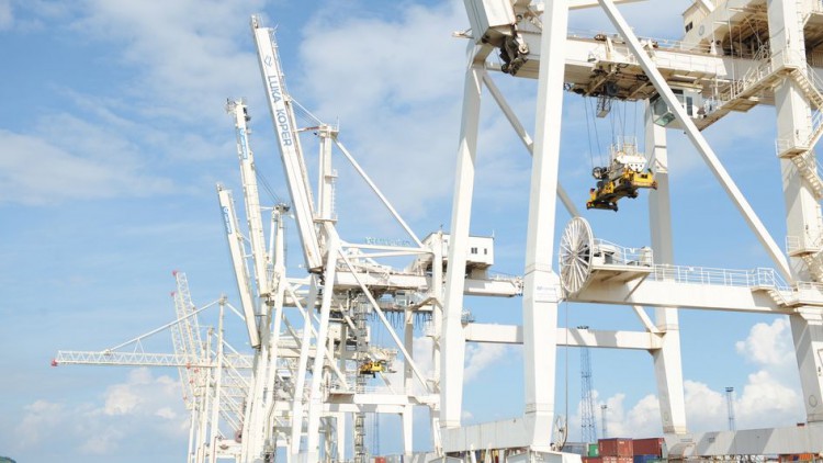 Cargo-Partner weitet Serviceangebot bei Seefracht aus